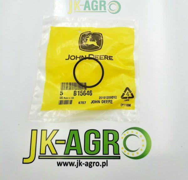 B15646 Oring