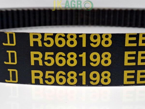 R568198 R222393 Pasek org.