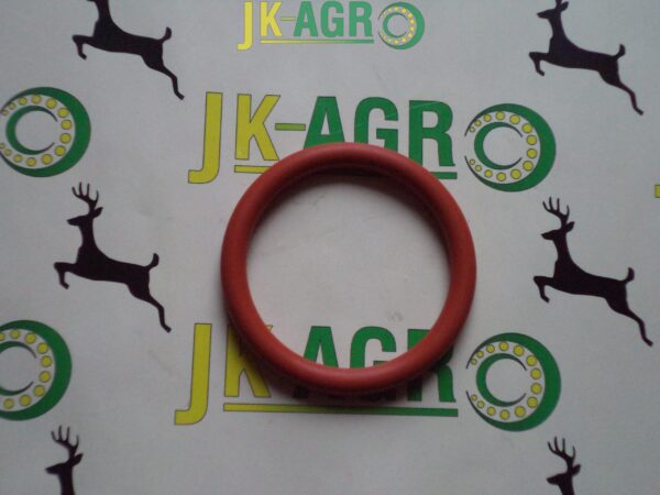 R86743 Oring