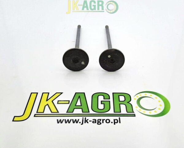 RE531221 R518806 Zawór ssący org.