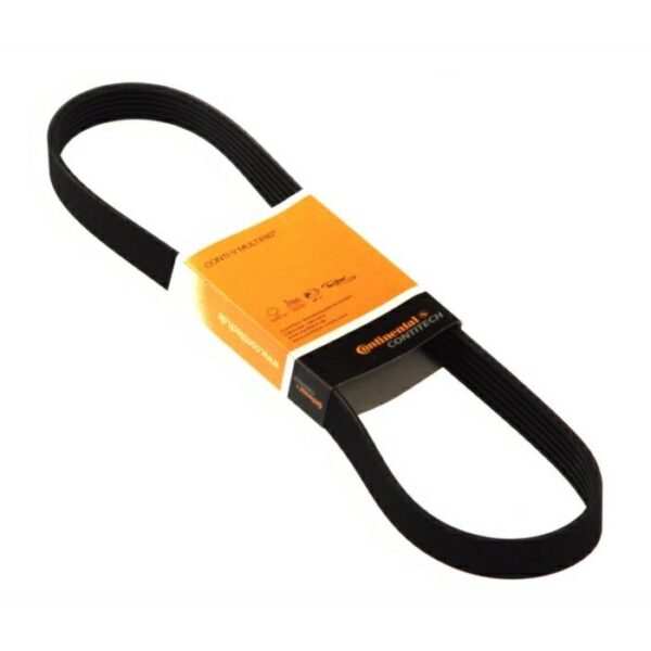 L111169 Pasek 6PK 1720 mm Contitech