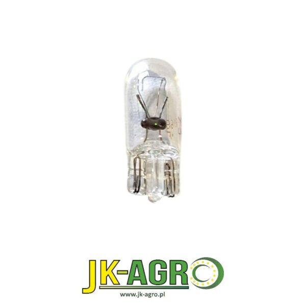 AR48015 Żarówka org
