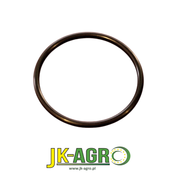 F37020128 Oring