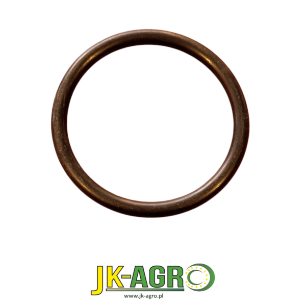 R30319 Oring org