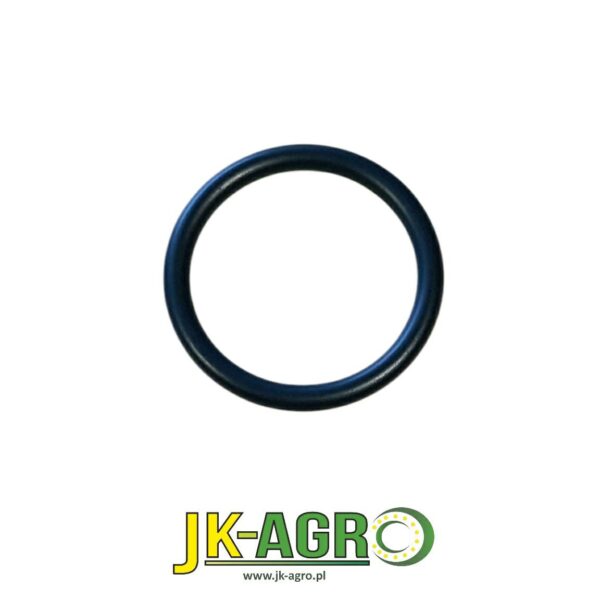 R526971 Oring org.