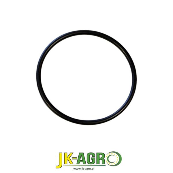 R529665 Oring org.