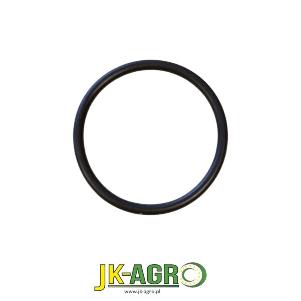 R61015 oring org