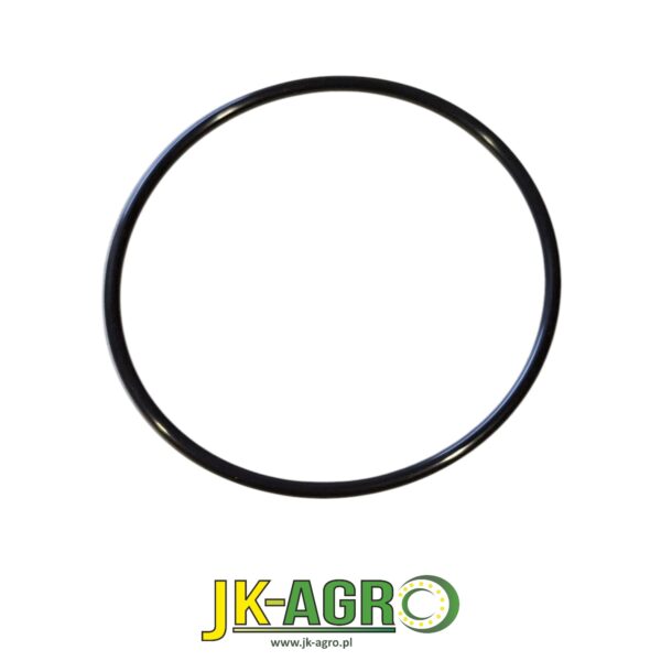 R73864 oring org.
