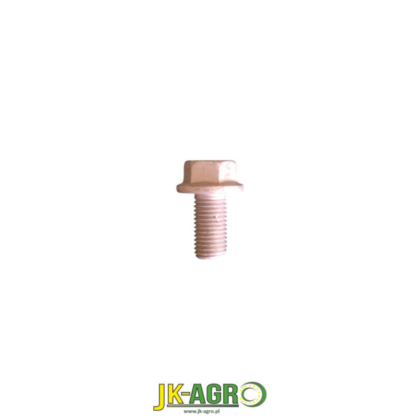L168204 Śruba org.