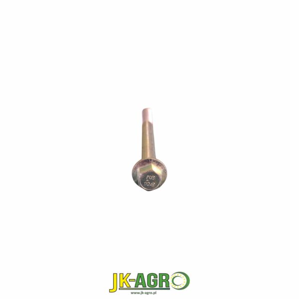 R109066 Śruba org.