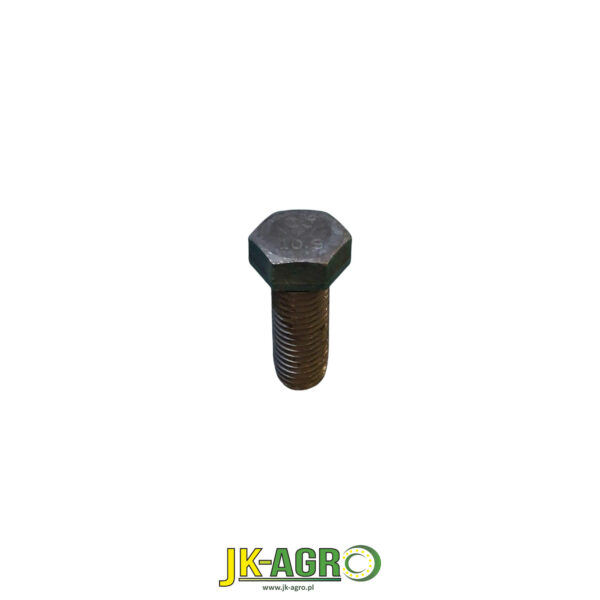 R113494 Śruba org