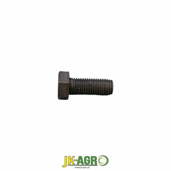 R113494 Śruba org