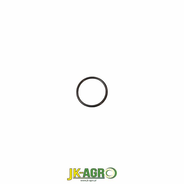 R117677 oring