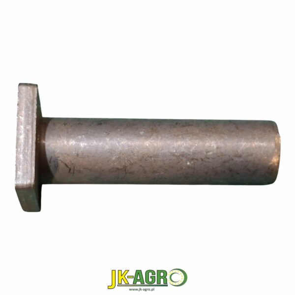 R169163 Sworzeń org.