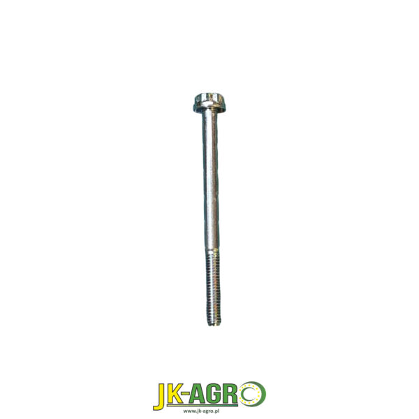 R175130 Śruba M6x80 org.
