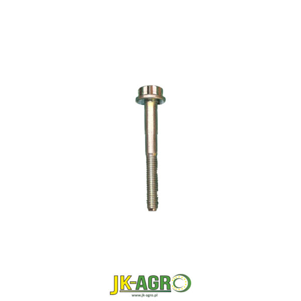 R175131 Śruba M6x50  org.