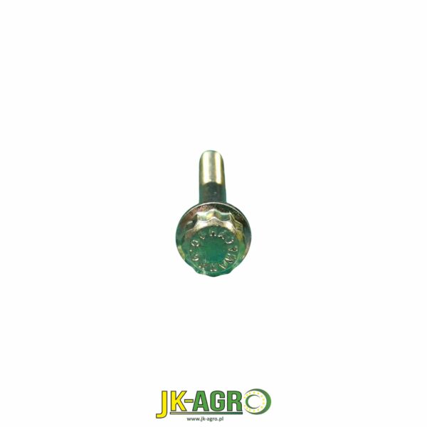 R175131 Śruba M6x50  org.