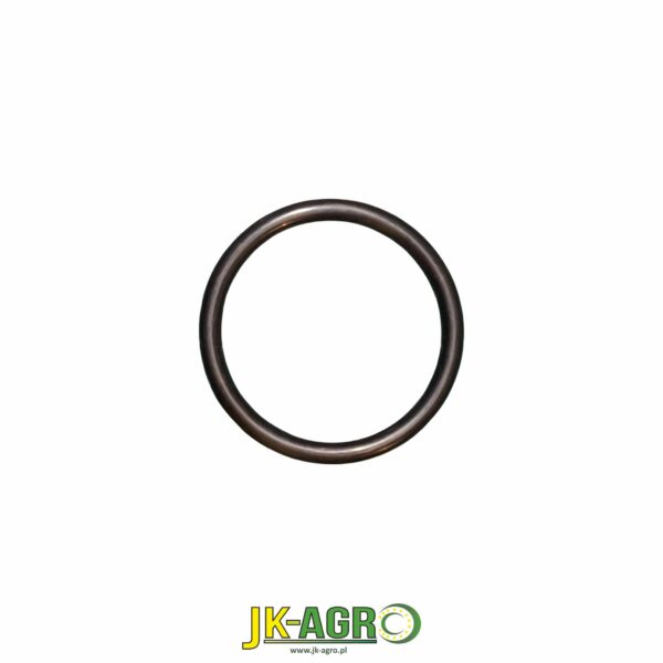 R202936 Oring org.