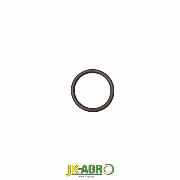 R63185 Oring