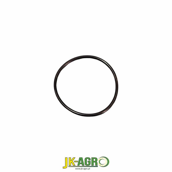 R95494 ORING org.