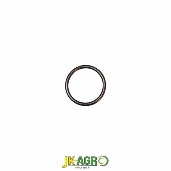 T78313 Oring