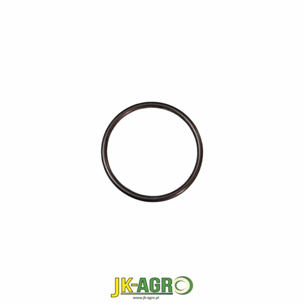 L170402 Oring org.